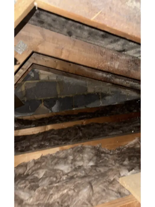 Loft Insulation work by Carter Langfold