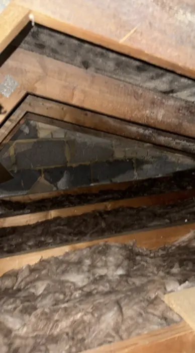 Loft Insulation work by Carter Langfold