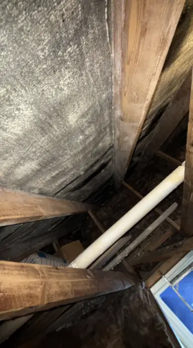 Loft Insulation work by Carter Langfold