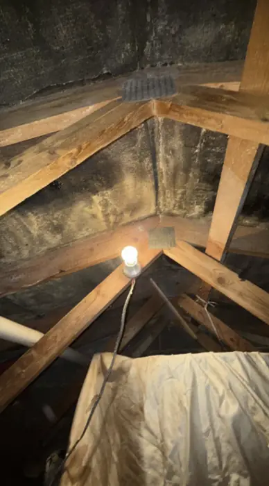 Loft Insulation work by Carter Langfold