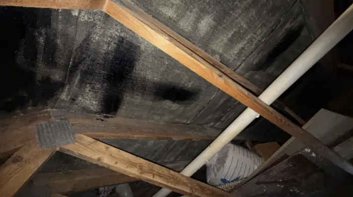 Loft Insulation work by Carter Langfold