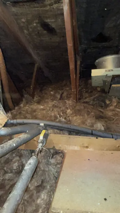 Roof spaces cleared, inspected and re-insulated, Carter Langfold