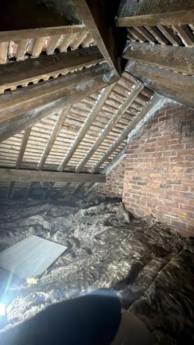 Roof spaces cleared, inspected and re-insulated, Carter Langfold