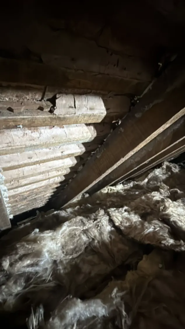 Loft insulation laid deep and continuous under the roof timbers