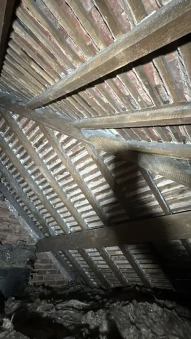 Roof spaces cleared, inspected and re-insulated, Carter Langfold