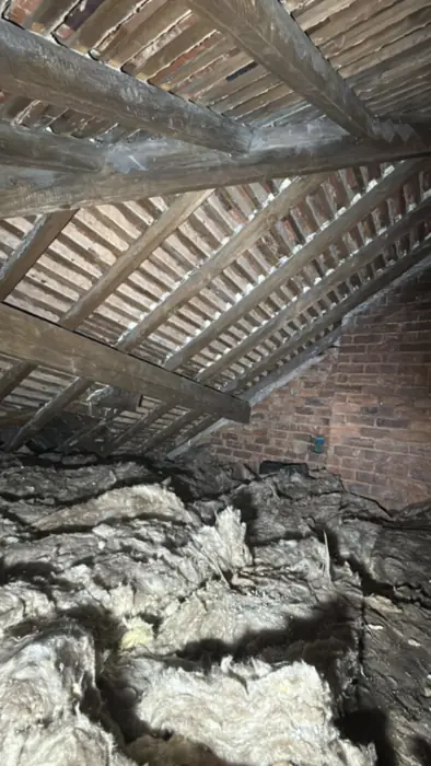 Roof spaces cleared, inspected and re-insulated, Carter Langfold