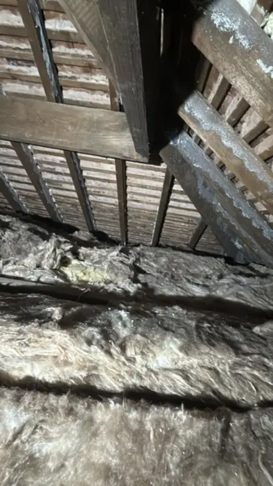 Roof spaces cleared, inspected and re-insulated, Carter Langfold