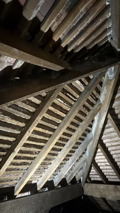 Roof spaces cleared, inspected and re-insulated, Carter Langfold