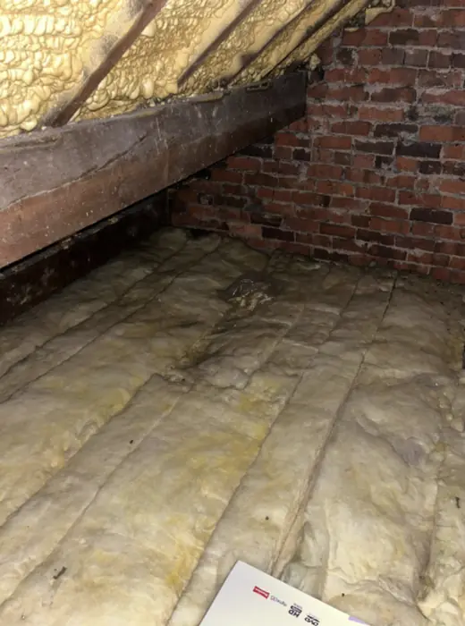 Roof spaces cleared, inspected and re-insulated, Carter Langfold