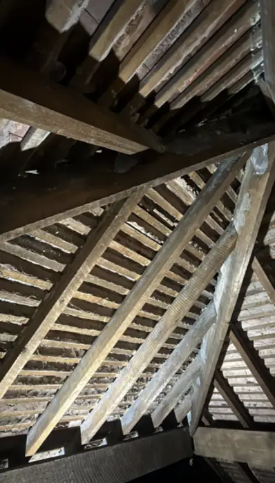 Roof spaces cleared, inspected and re-insulated, Carter Langfold