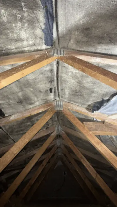 Roof spaces cleared, inspected and re-insulated, Carter Langfold