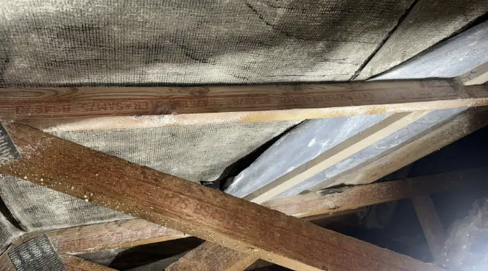 Roof spaces cleared, inspected and re-insulated, Carter Langfold