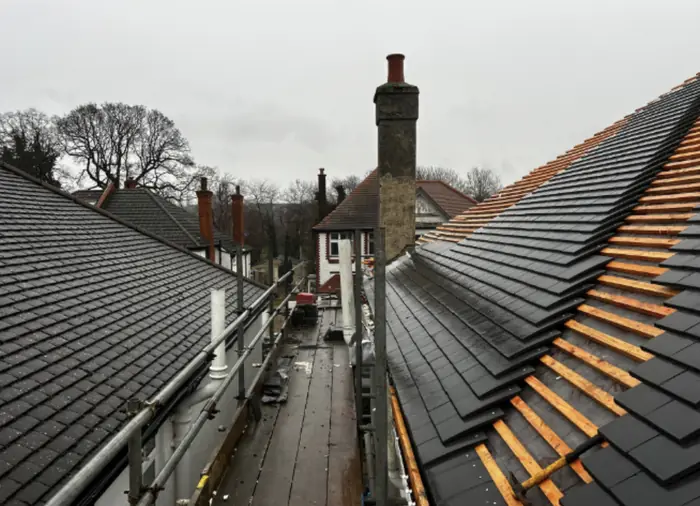 Roofs work by Carter Langfold