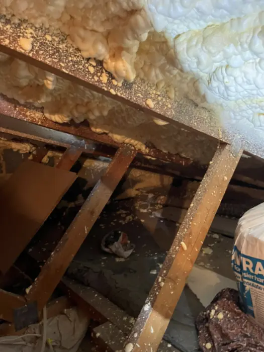 Foam stripped back and roof timbers exposed, Carter Langfold