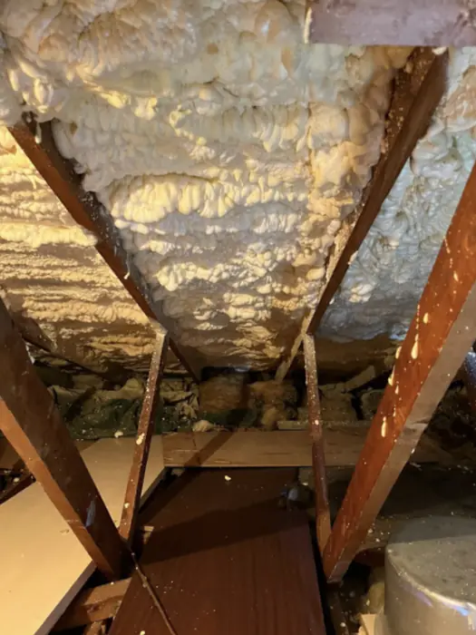 Foam stripped back and roof timbers exposed, Carter Langfold