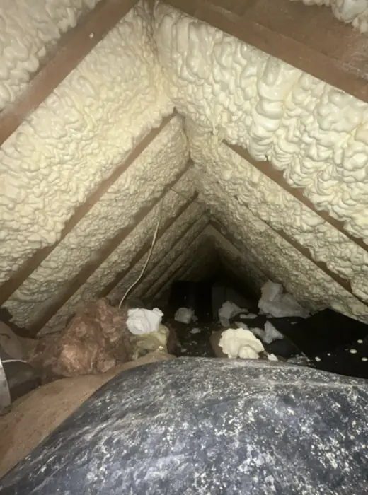 Foam stripped back and roof timbers exposed, Carter Langfold