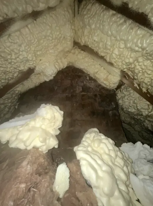 Foam stripped back and roof timbers exposed, Carter Langfold