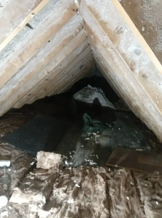 Foam stripped back and roof timbers exposed, Carter Langfold