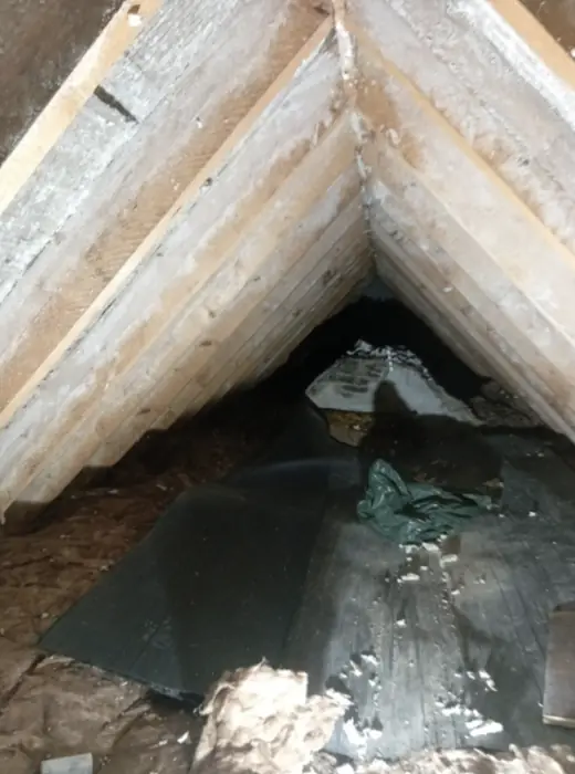 Foam stripped back and roof timbers exposed, Carter Langfold