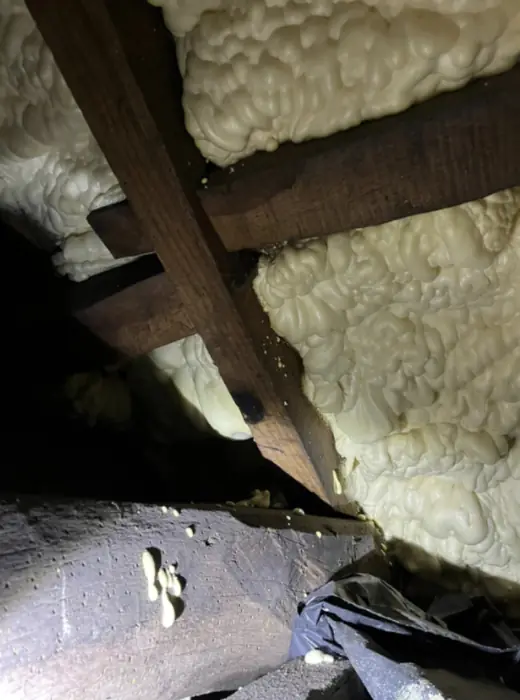 Foam stripped back and roof timbers exposed, Carter Langfold