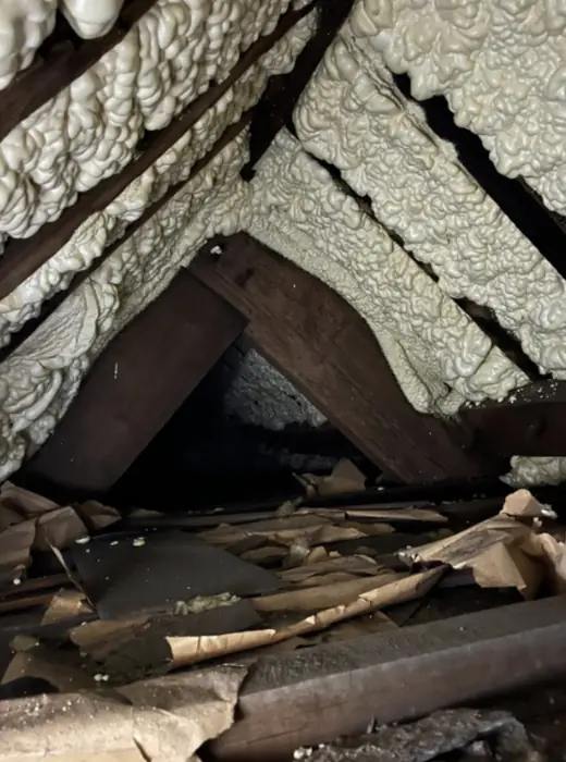 Foam stripped back and roof timbers exposed, Carter Langfold