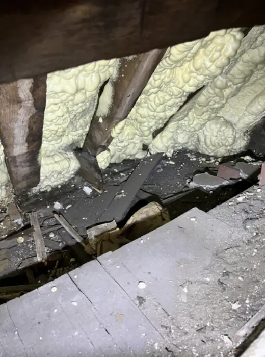 Foam stripped back and roof timbers exposed, Carter Langfold