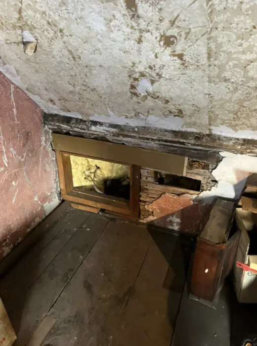 Foam stripped back and roof timbers exposed, Carter Langfold