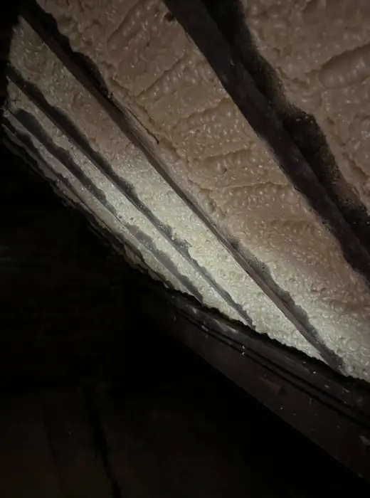 Foam stripped back and roof timbers exposed, Carter Langfold