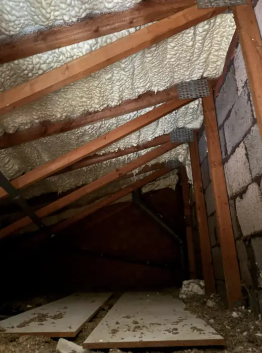 Foam stripped back and roof timbers exposed, Carter Langfold