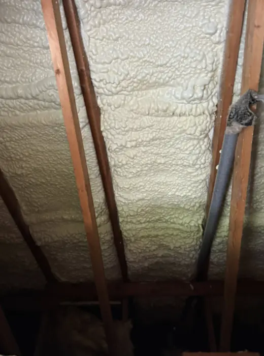 Foam stripped back and roof timbers exposed, Carter Langfold