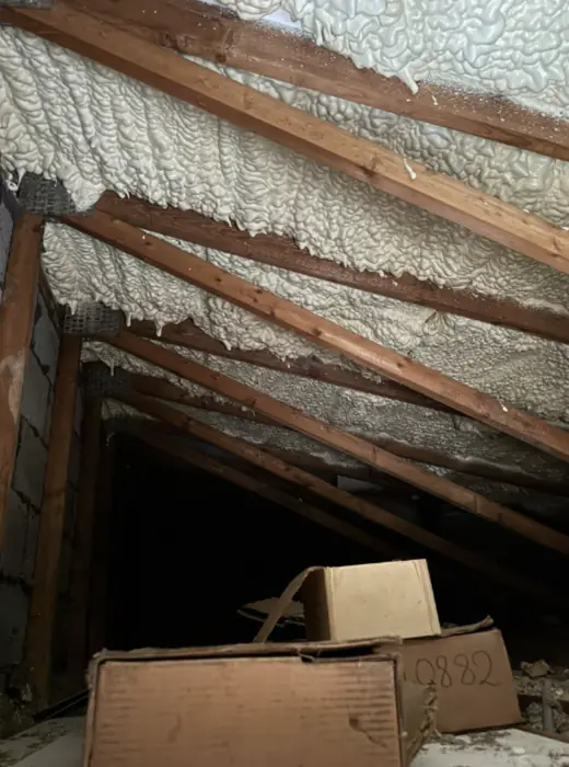 Foam stripped back and roof timbers exposed, Carter Langfold