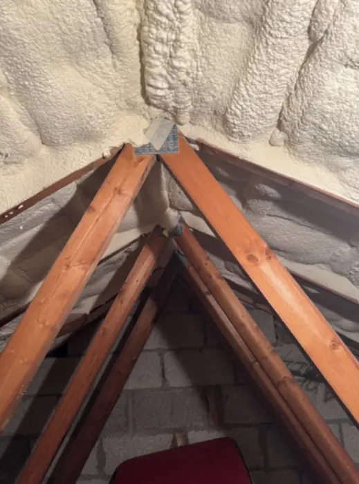 Foam stripped back and roof timbers exposed, Carter Langfold