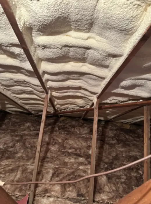 Foam stripped back and roof timbers exposed, Carter Langfold