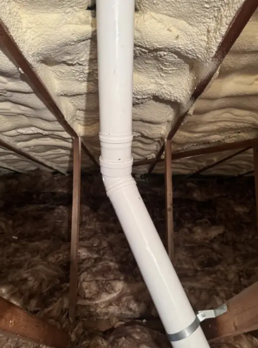 Foam stripped back and roof timbers exposed, Carter Langfold