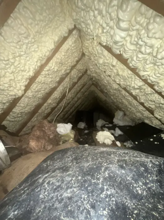 Foam stripped back and roof timbers exposed, Carter Langfold