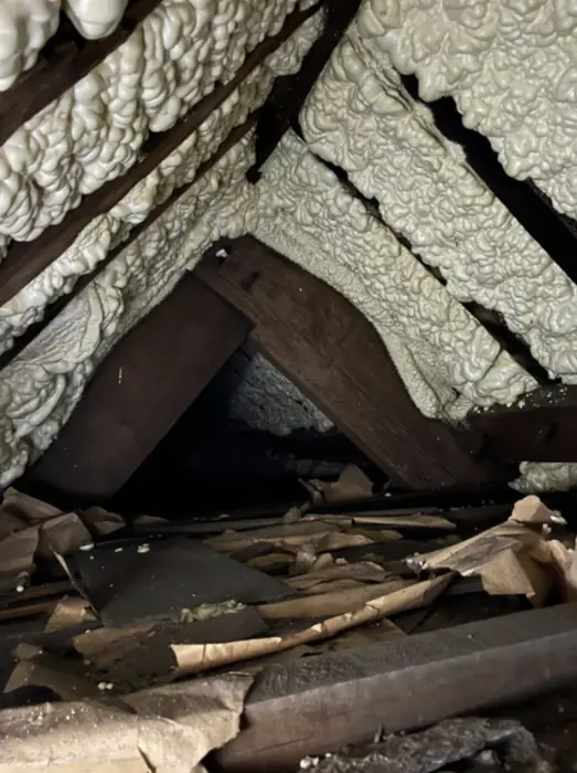 Foam stripped back and roof timbers exposed, Carter Langfold