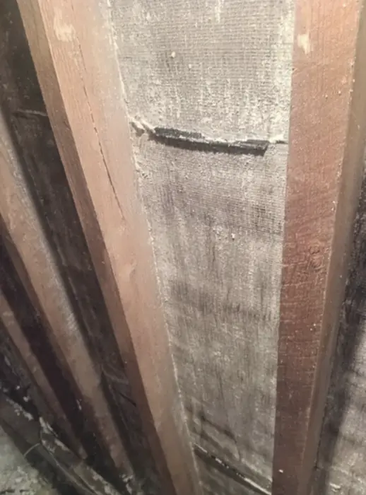 Foam stripped back and roof timbers exposed, Carter Langfold