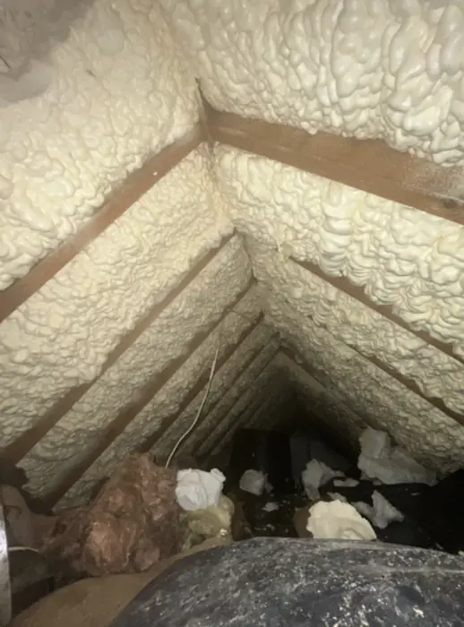 Foam stripped back and roof timbers exposed, Carter Langfold